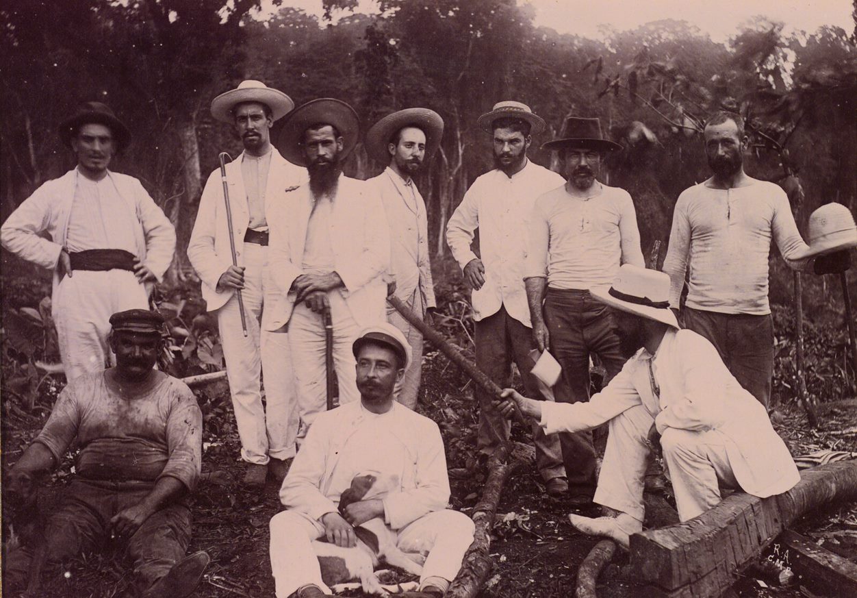 Preparació d'una plantació de cacau la finca de Rius i Torres. Inicis del segle XX (Biblioteca Real de Palacio).